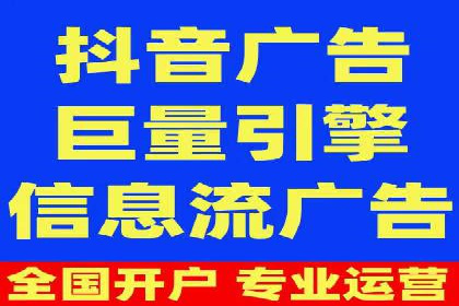 大型SEM服务公司案例分析